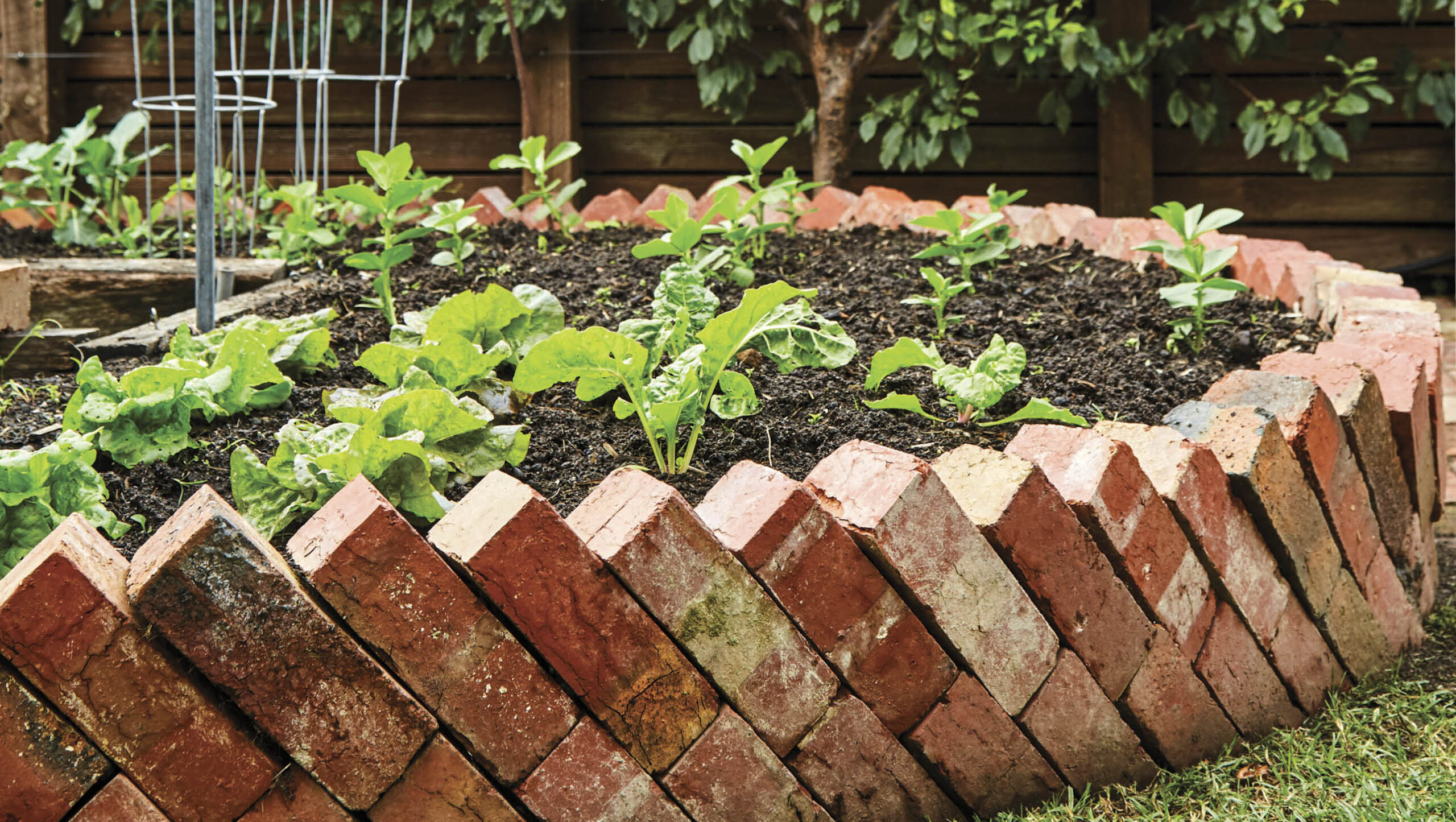 You can repurpose old bricks to build your raised beds.